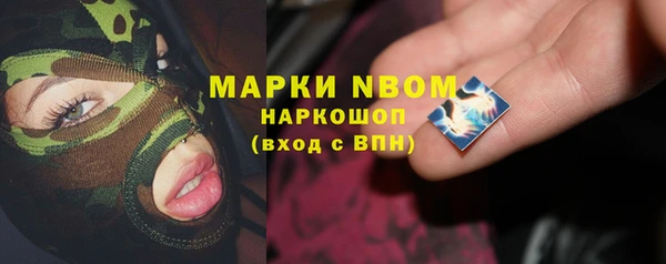 прущий лед Алзамай